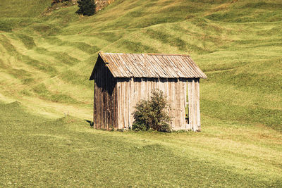 House on field