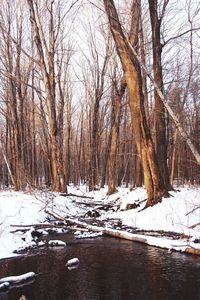 Scenic view of snow covered landscape