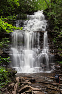 Scenic view of waterfall in forest