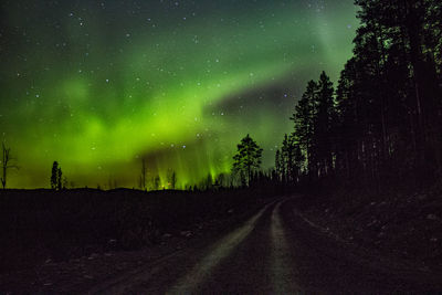 Silhouette trees on road against sky at night