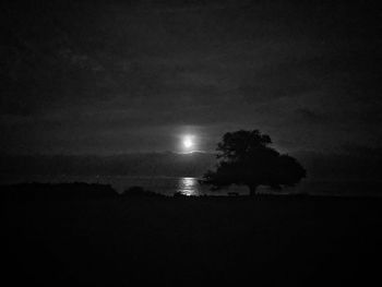 Silhouette trees on landscape against sky at night