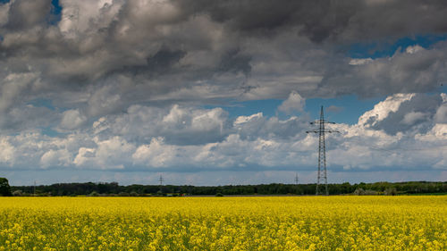 Scenic view of oilseed rape field against cloudy sky