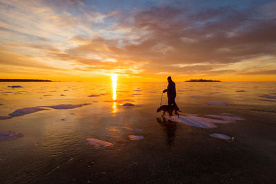 Silhouette man with dog walking at beach during sunset