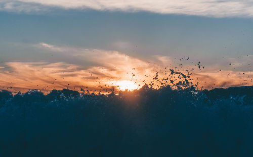 Silhouette trees against sky during sunset