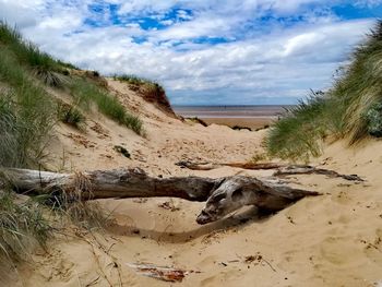 Scenic view of beach against sky