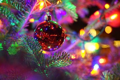 Close-up of christmas ornament hanging on tree