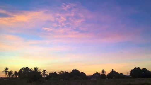 Scenic view of landscape at sunset