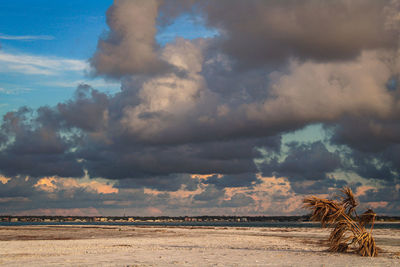 Scenic view of beach against sky during sunset