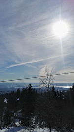 Scenic view of trees against sky