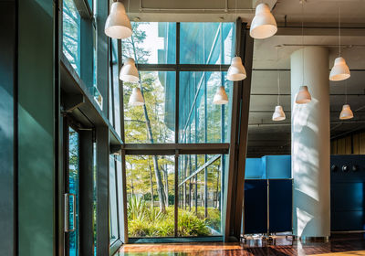 Reflection of trees on glass window of house