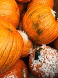 High angle view of pumpkins for sale at market