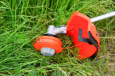 Close-up of red umbrella on field