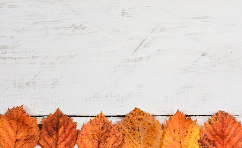 Close-up of dry autumn leaves on wood against wall