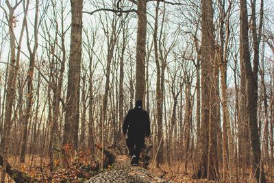 Rear view of man walking in forest