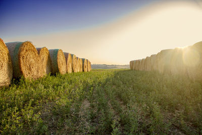 Hay bales on field against sky