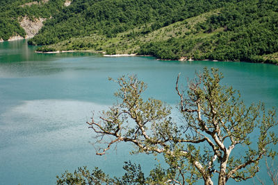 Scenic view of lake by trees against mountain
