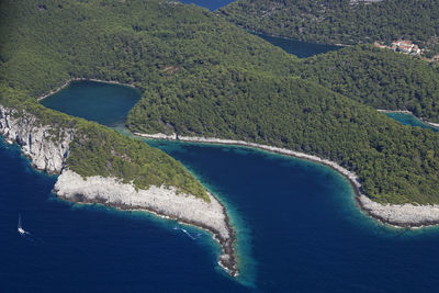 High angle view of sea and trees