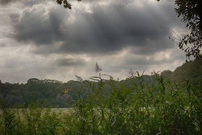 Scenic view of field against cloudy sky