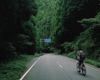 Rear view of man riding bicycle on road