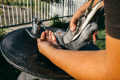 Cropped image of boy holding pigeon by sink with water