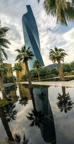 Reflection of trees in modern building