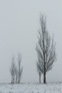Bare tree on snow covered field against clear sky