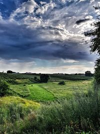 Scenic view of field against sky