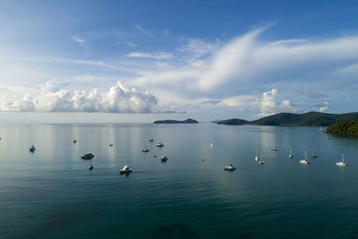 Ducks swimming in sea against sky