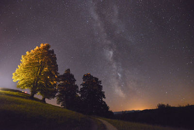 Tilt image of trees on field against star field in sky at night