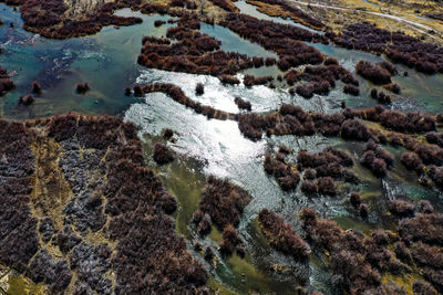 High angle view of rocks on sea shore