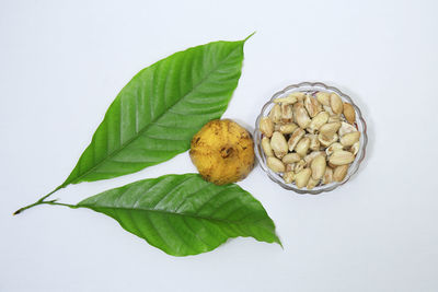 Directly above shot of fruits and leaves against white background