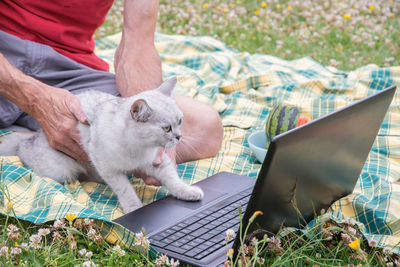 Midsection of woman using laptop