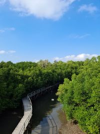 Bridge over river against sky