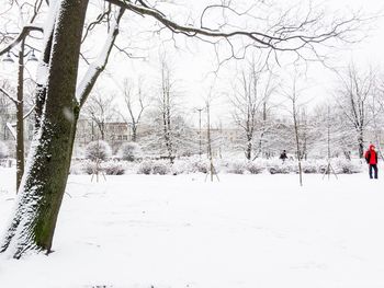 Snow covered trees against sky