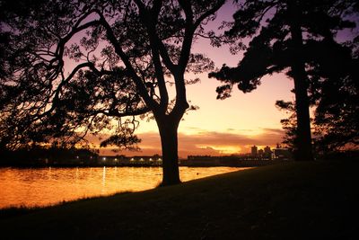 Silhouette trees by lake against sky during sunset