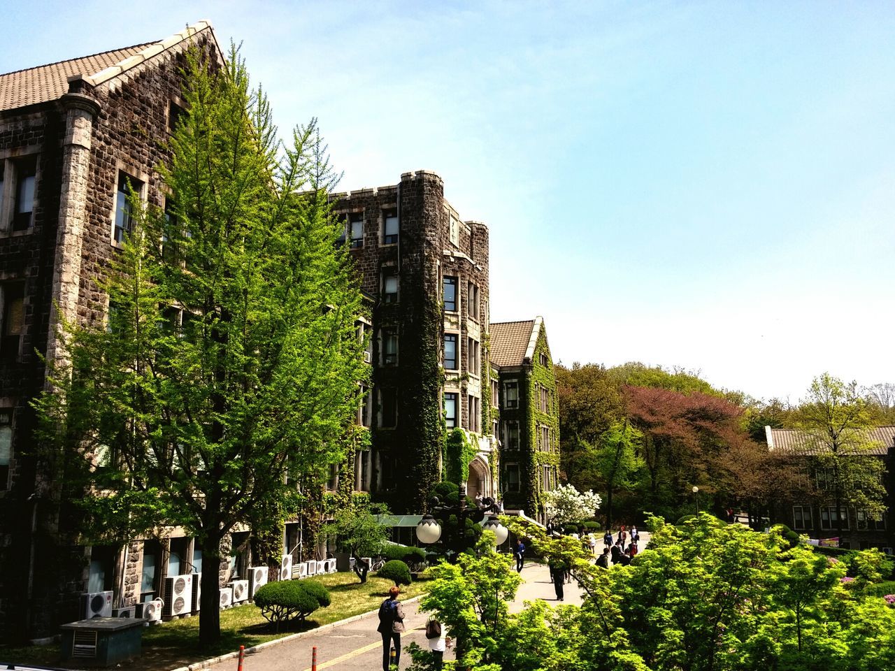 building exterior, architecture, built structure, tree, clear sky, city, building, low angle view, residential building, residential structure, house, growth, day, incidental people, copy space, outdoors, sunlight, car, sky, green color