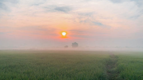 Scenic view of field against sky during sunset