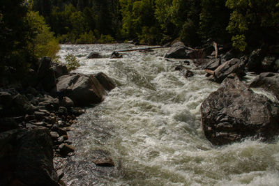 River flowing through rocks in forest