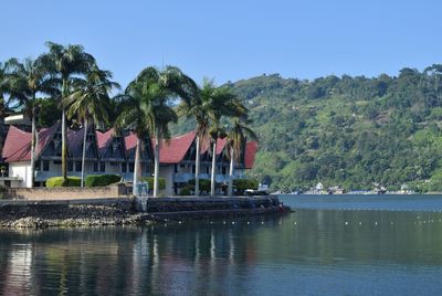 Palm trees by river against clear sky