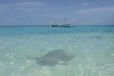 Sailboat in sea against sky