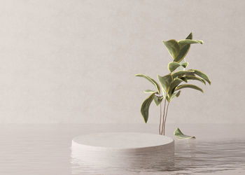 Podium standing in water, with plant, on the cream background. beautiful mock up for product