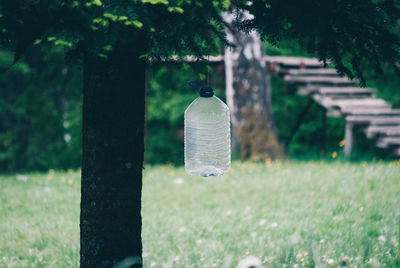 Close-up of bottle hanging on tree at park
