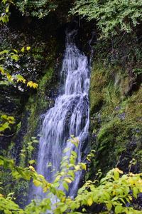 Scenic view of waterfall