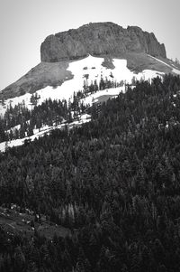 Low angle view of tree mountain against clear sky