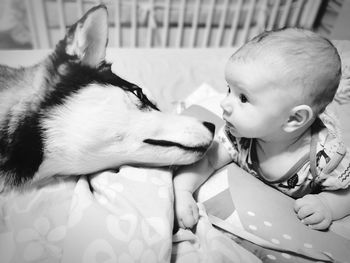 Close relation of dog and baby