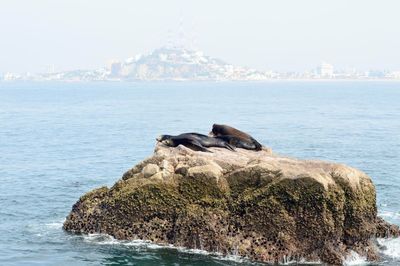 View of sea and rocks