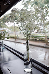 Close-up of flower vase on glass table