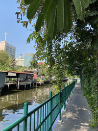 Canal amidst trees and buildings in city