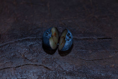 Close up of fruit