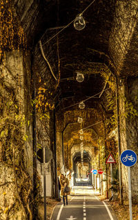 Trees in corridor